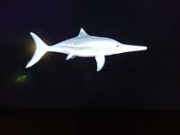 IMG_20240522_165933_1.jpg