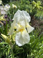 IMG_5298.jpeg