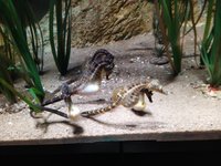 IMG_20240522_173632.jpg