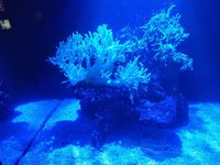 IMG_20240522_173256.jpg