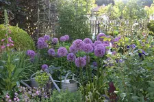 Mai     3324.webp