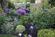Mai     3624.webp