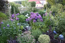 Mai     3724.webp