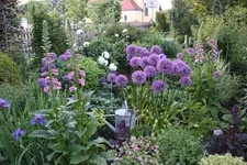 Mai     3824.webp