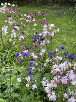 IMG_3726.webp