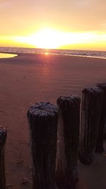 20220621_215424.jpg