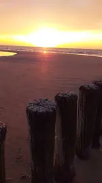 20220621_215424.webp