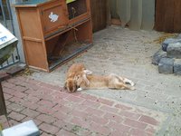 IMG_20240523_141828.jpg