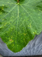 20240524_073957.webp