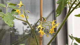 IMG_0072.jpeg
