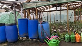 IMG_0075.jpeg