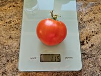 20240524_202722.jpg