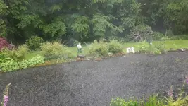 Regen1.jpg
