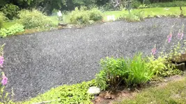 Regen.webp Regen.webp