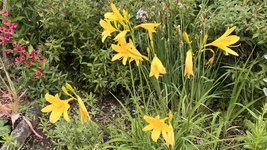 IMG_0063.jpeg