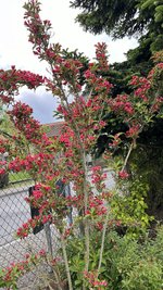 IMG_0065.jpeg