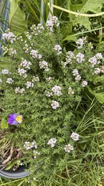 IMG_0066.jpeg