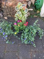 20240525_074814.jpg