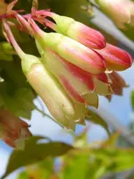 015.webp