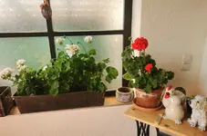 IMG_20240525_171327.webp