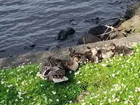 IMG_20240525_174440.webp