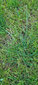 20240525_200948.webp