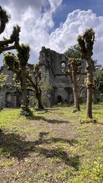 IMG_0080.jpeg