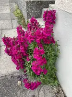 IMG_3358.webp