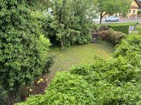 IMG_5406.jpeg