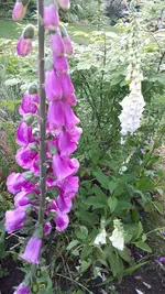 20240523_193939.webp