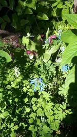 20240516_100641.webp