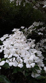 20240521_201150.jpg