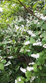 20240518_152632.webp