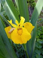 IMG_20240525_082605.jpg
