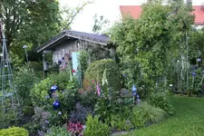 Mai     4724.webp
