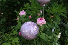 Mai     5124.webp