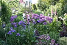 Mai     5424.webp