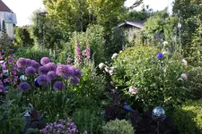 Mai     5524.webp