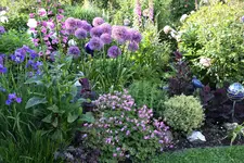 Mai     5624.webp