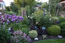 Mai     6324.webp