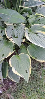 20240526_133536.jpg
