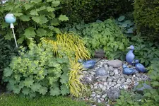 Mai     6424.webp