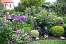 Mai     7424.webp