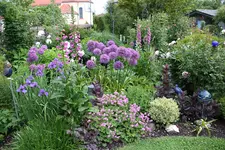 Mai     7524.webp