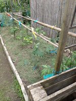 IMG_20240526_145806.jpg
