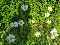 IMG_20240527_090654_1.jpg
