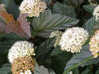 IMG_20240527_111145_1.jpg