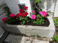 DSC03445.JPG