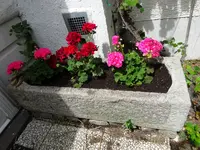 DSC03445.webp