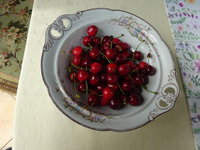 DSC03451.JPG